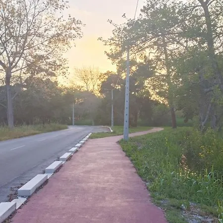 Casa Da Mata Semesterbostad