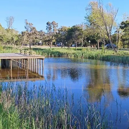Semesterbostad Casa Da Mata Praia de Mira