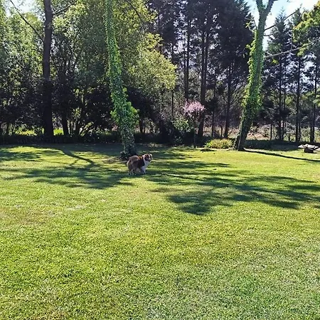 Casa Da Mata * Praia de Mira