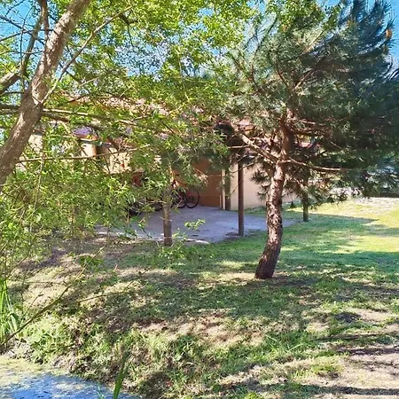 Casa Da Mata Semesterbostad