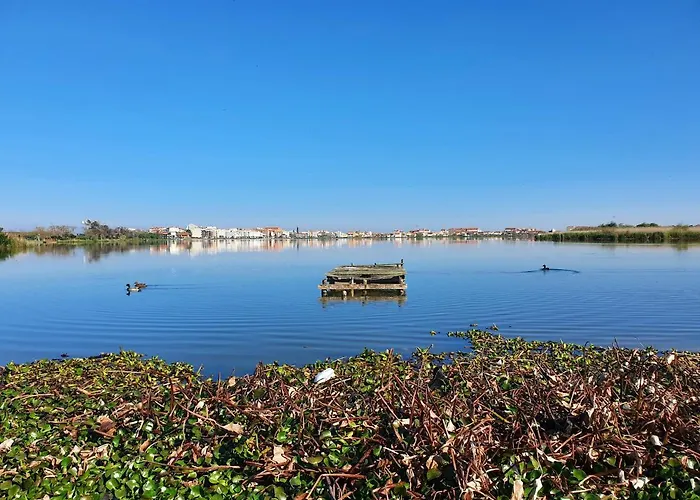 Casa Da Mata Hébergement de vacances *