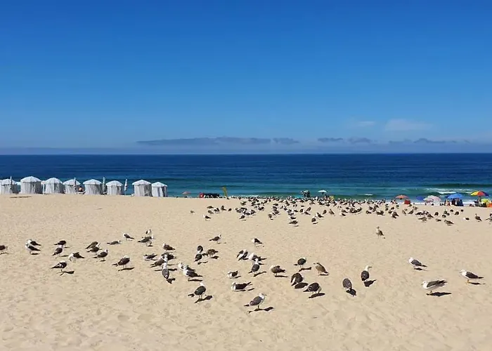 Hébergement de vacances Casa Da Mata *