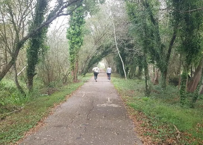 Casa Da Mata Hébergement de vacances *