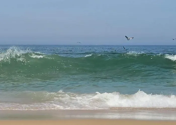 Casa Da Mata Hébergement de vacances