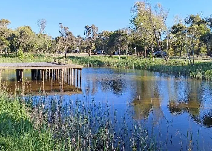 Hébergement de vacances Casa Da Mata Praia de Mira