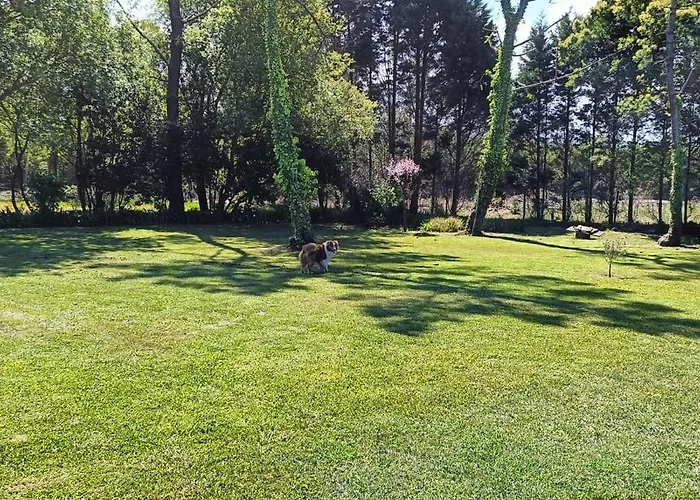 Casa Da Mata * Praia de Mira